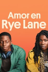 Amor en Rye Lane (Un amor inesperado)